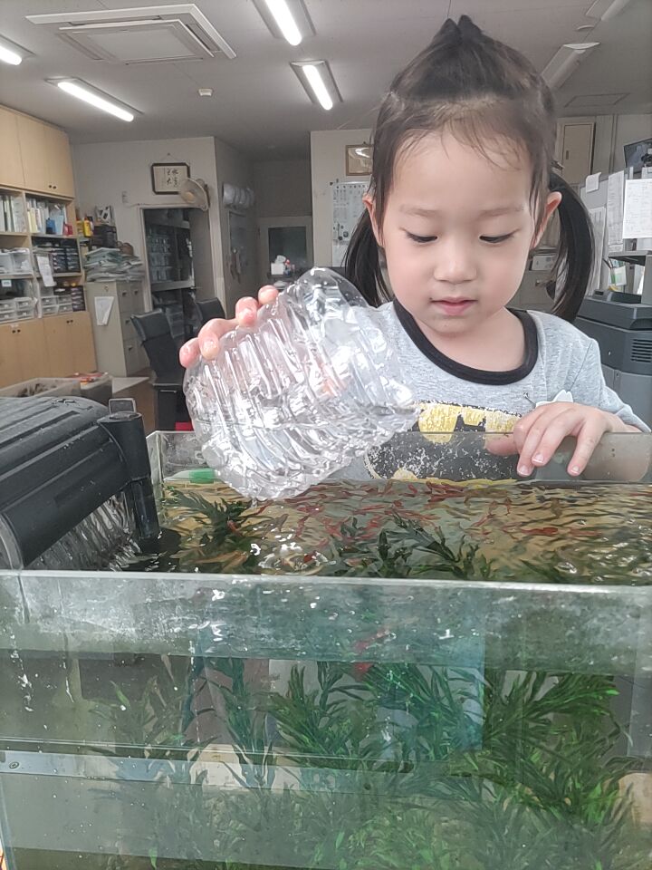 お魚さん